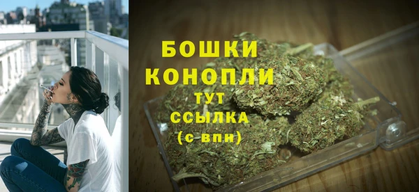 дживик Белокуриха