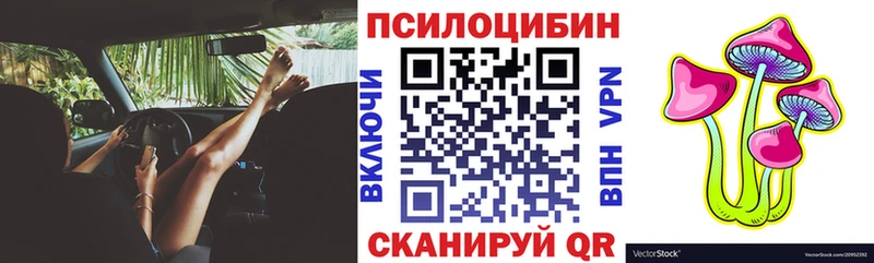 Псилоцибиновые грибы Psilocybe  Онега 