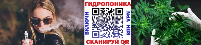 закладки  Онега  Бошки Шишки индика 